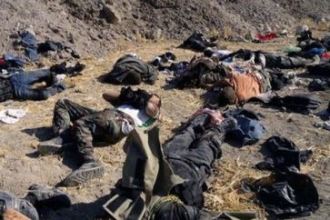 Terrorists killed by Syrian army and allies