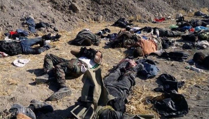 Terrorists killed by Syrian army and allies