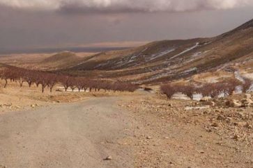 Arsal barrens