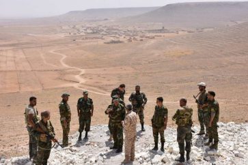 Syrian government forces (archive)