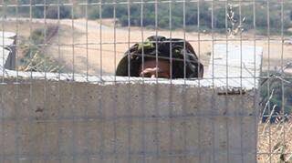 Israeli soldier hiding