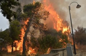 South Lebanon wildfires