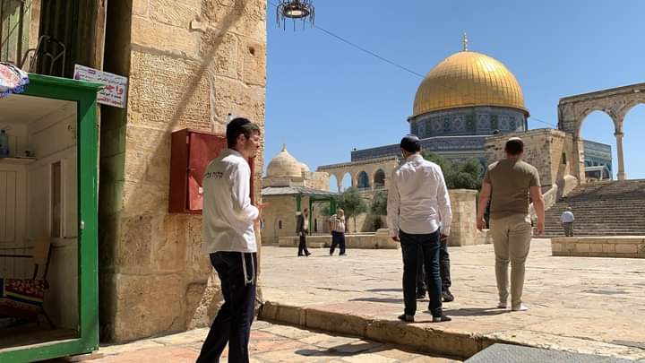 Zionist settlers storm Al-Aqsa Mosque