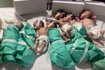 new born babies in Al-shifaa