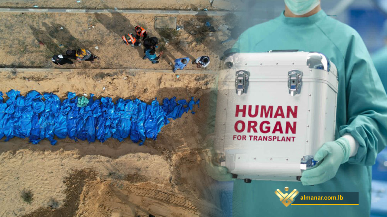 organ theft Israel Gaza