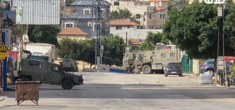  <a href="https://english.almanar.com.lb/2408078">Four Palestinians Killed in Israeli Raid on Tammun as Offensive on Jenin, Tulkarm</a>