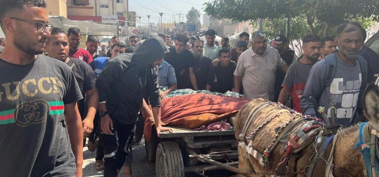  <a href="https://english.almanar.com.lb/2454817">Israeli Aggression Continues Across Gaza on Day 644; Casualties Reported, Including Children Losing Limbs</a>