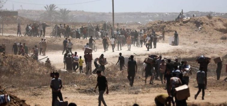  <a href="https://english.almanar.com.lb/2456170">Gaza Under Deadly Assault: At Least 19 Palestinians Martyred in Latest Strikes Targeting Civilians</a>