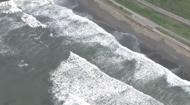  <a href="https://english.almanar.com.lb/2466598">Powerful Waves Strike from Japan to Alaska as US Issues Tsunami Warnings</a>