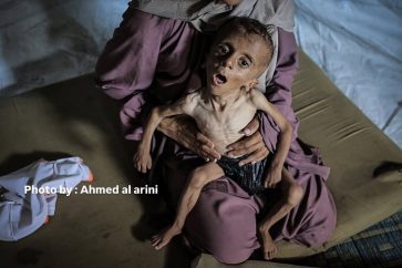 gaza 23-7