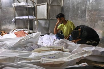 Gaza Genocide IOF