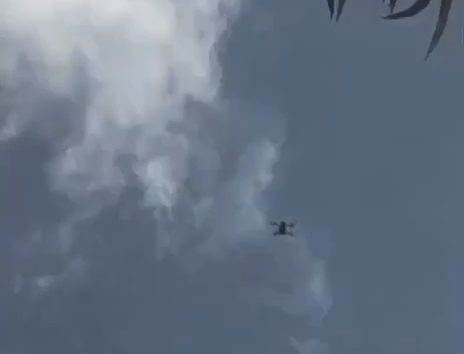  <a href="https://english.almanar.com.lb/2478841">Video Documents Israeli Glider Chasing, Dropping Bombs on Civilians in South Lebanon Border Town</a>