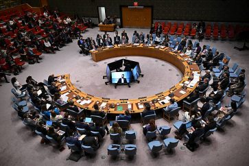 UN Palestine IOF