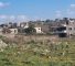South Lebanon