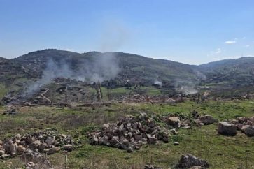 manar-6529b3dfb26f9a47-1024x576