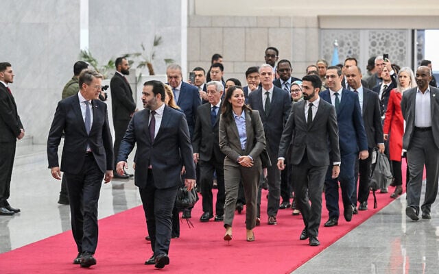 UNSC delegation Syria visit